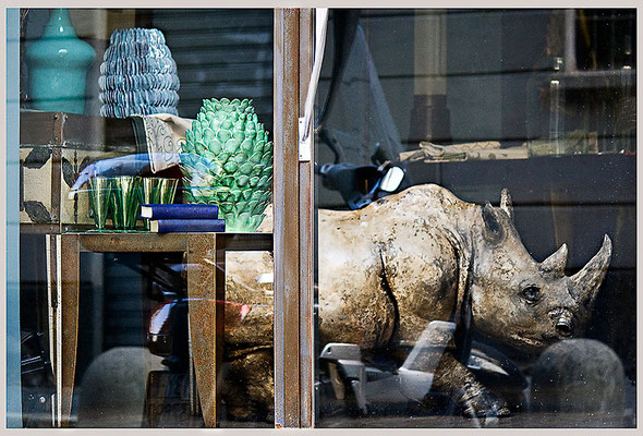 Klägliche Irrwege - © Helga Jaramillo Arenas - Fotografie und Poesie / Mai 2013