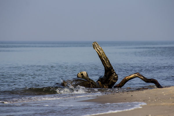 Der Schwimmer - © Helga Jaramillo Arenas - Fotografie und Poesie / Oktober 2018