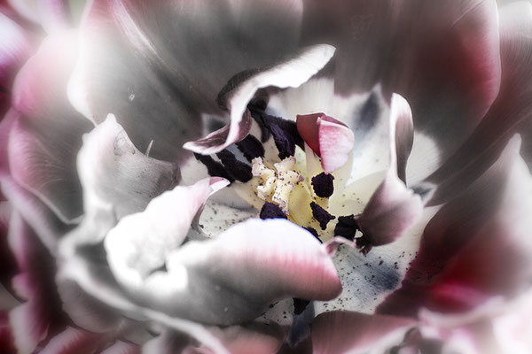 Erfüllung - © Helga Jaramillo Arenas - Fotografie und Poesie / Mai 2024