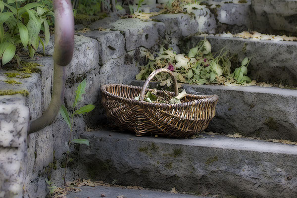 Auf dem Weg zur Großmutter -  © Helga Jaramillo Arenas - Fotografie und Poesie / August 2022