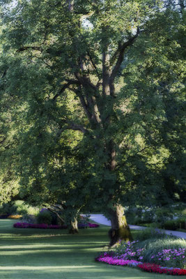 Wege zwischen Licht und Schatten - © Helga Jaramillo Arenas - Fotografie und Poesie / Juli 2017