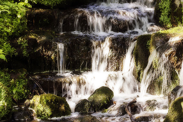 Wasserleuchten I. -  © Helga Jaramillo Arenas - Fotografie und Poesie / Juli 2021 