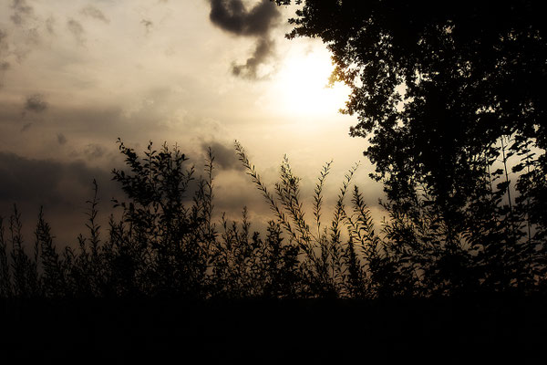  Letztes Licht - © Helga Jaramillo Arenas - Fotografie und Poesie / August 2016