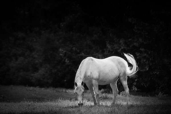 Abendstille - © Helga Jaramillo Arenas - Fotografie und Poesie / Mai 2019