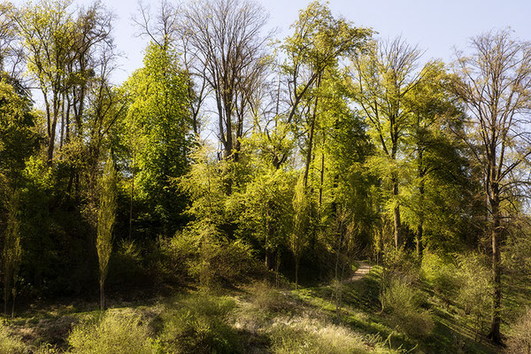 Lichtwege -  © Helga Jaramillo Arenas - Fotografie und Poesie / Oktober 2022