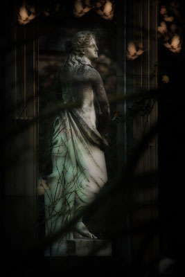 Nachtschatten - © Helga Jaramillo Arenas - Fotografie und Poesie / Mai 2018