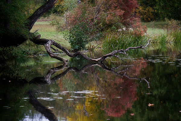 Der Herbst - © Helga Jaramillo Arenas - Fotografie und Poesie / Oktober 2012