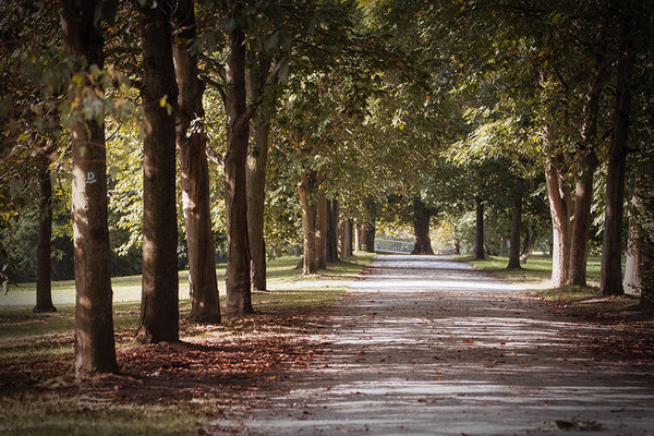 Die leise Erinnerung des Herbstes - © Helga Jaramillo Arenas - Fotografie und Poesie / August 2016