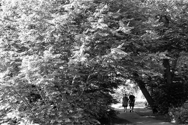 Wege gehen -  © Helga Jaramillo Arenas - Fotografie und Poesie / Juni 2022