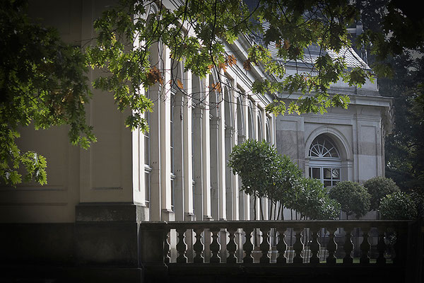 Blick zur Orangerie / Pillnitz - © Helga Jaramillo Arenas - Fotografie und Poesie / November 2014