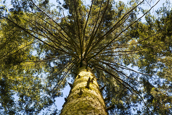 Umarmungen -  © Helga Jaramillo Arenas - Fotografie und Poesie / Oktober 2022