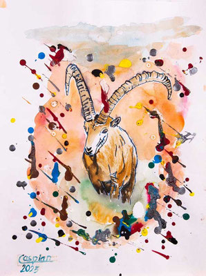 Steinbock, Mischtechnik, 40 x 30 cm, 2023