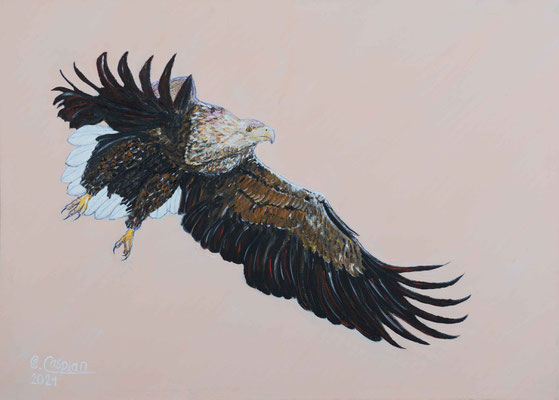 ohne Titel, Acryl auf Leinwand, 50 x 70 cm, 2024