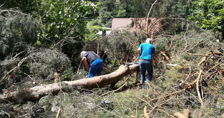 Alte Männer beim Freiräumen des Weges - oder - schöne Rücken können auch entzücken