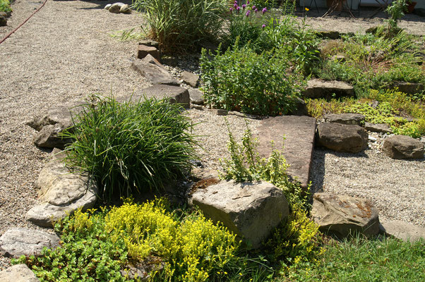 Der Weg Richtung Kräutergarten, an dieser Stelle mit großen, extrem schweren Sandquadern als Stufen