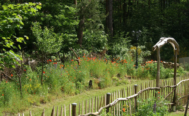Der Fahrweg hinter dem Zaun, mit Blick zum Wildblumenstreifen, plus Totholzhecke als Begrenzung zum Wald