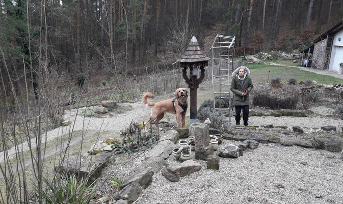 Neuste Masche ist das Fressen von Heidis Hauswurzen, was sich nicht unbedingt als Erheiterung herausstellt 