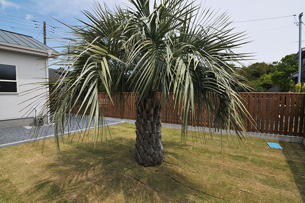 千葉県一宮町リクシルスーパーウォール新築平屋建売