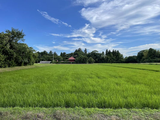 「茂原市七渡の田園地帯に佇むミニマルな木の小屋。130坪超の敷地を持つセカンドハウス・秘密基地」