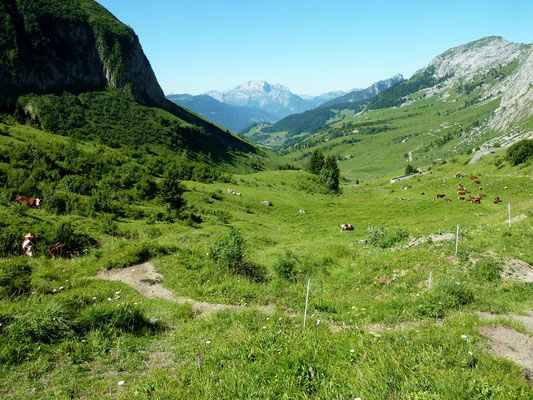 col de la Colombière 1 618 m (AU BOUT DES PIEDS)