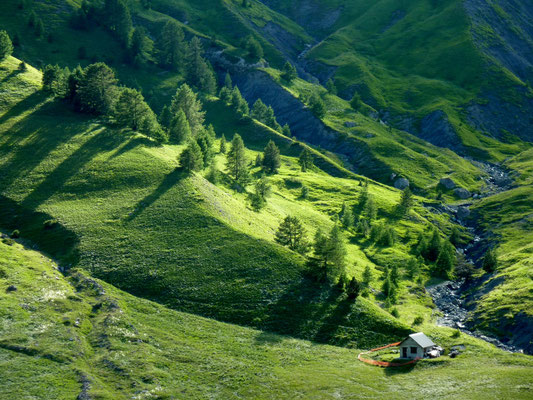 col de la Cayolle 2 326 m (AU BOUT DES PIEDS)