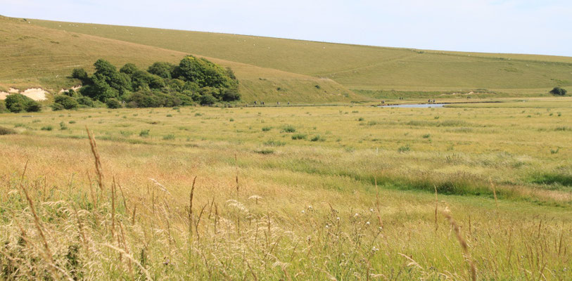 South Downs (Au Bout des pieds)