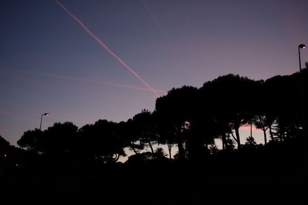 No Man's Land by Mel Piper · photography by Mel Piper · research and writing in France