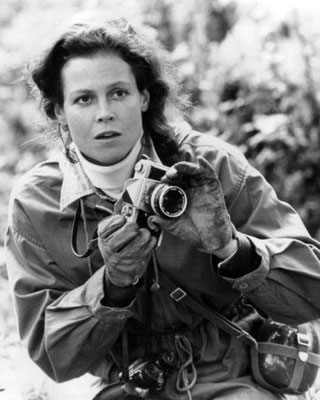 SIGOURNEY WEVER