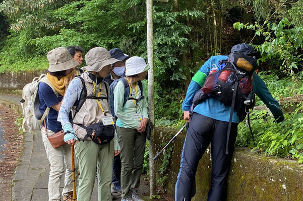 林縁の植物について話す