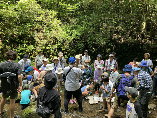 水生生物観察02_観察後は沢にかえしました