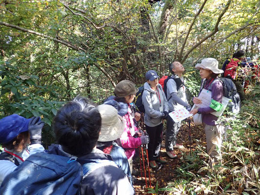 大洞山途中の解説
