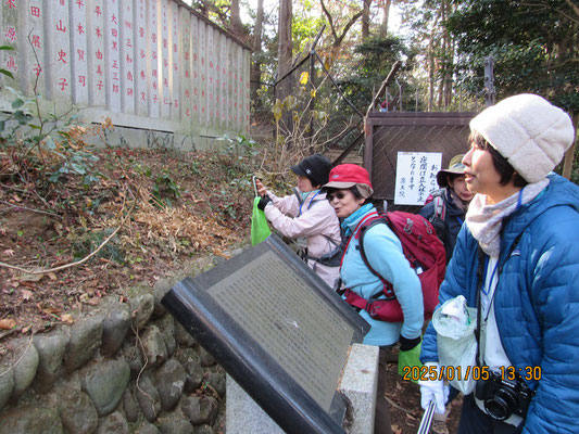 自然観察3：石垣の上の目立たない花を観察