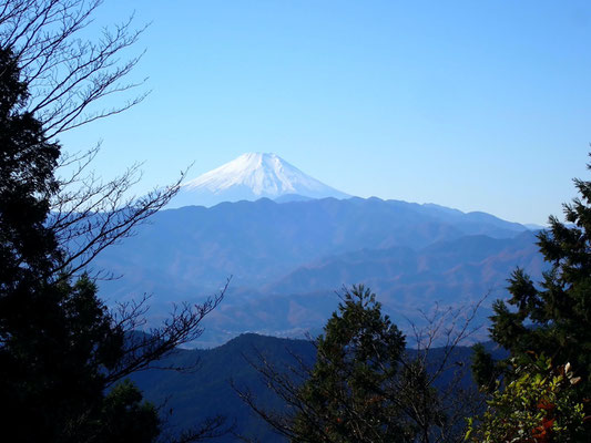 景信山からの富士山