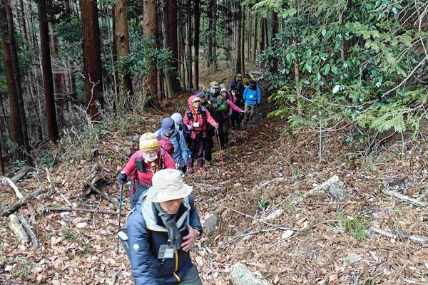 小仏峠を目指してつづら折りの登山道を登る