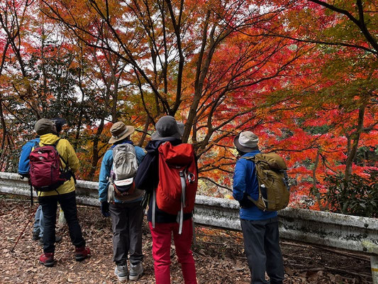 登山口手前の紅葉