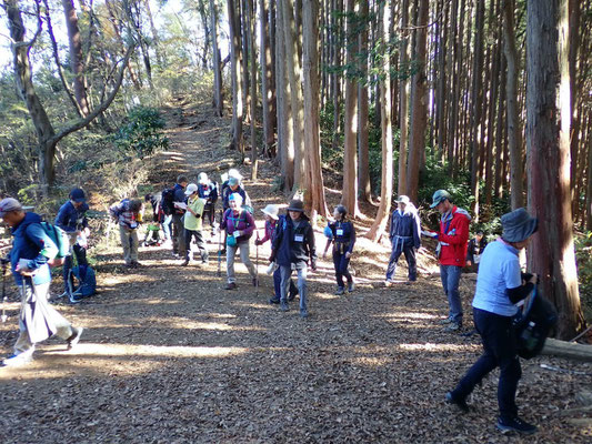景信山への道