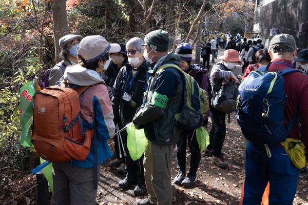 自然観察：青い実がついています