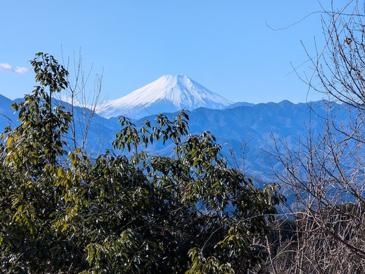 一丁平展望台からの富士山