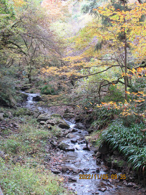 秋の景色その①：日影沢の小さな滝と紅葉