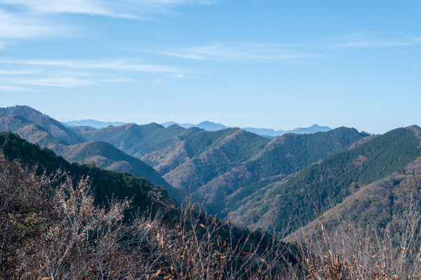 ケーブル高尾山駅からの奥多摩の山