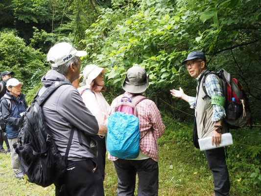日影沢キャンプ場にて、いろはの森コースの樹木を解説