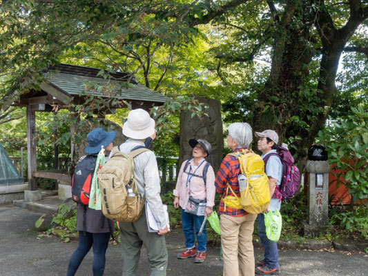 自然観察：本堂横のボダイジュの実を観察