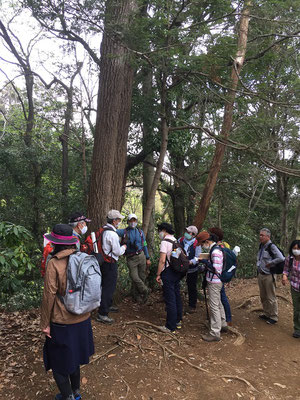 稲荷山コースで樹木観察