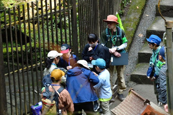 琵琶滝 休憩中でも興味津々