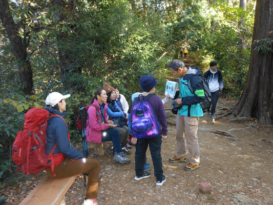 稲荷山コースで自然観察 1