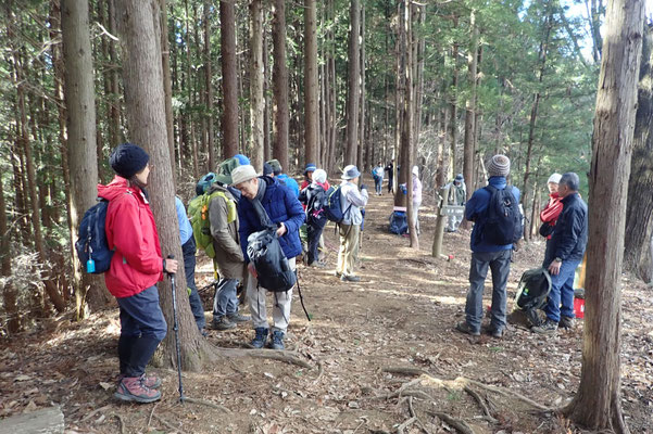 稙田医に尾根の下山直前