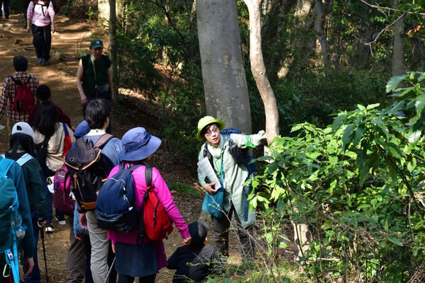 ４号路 班長の解説