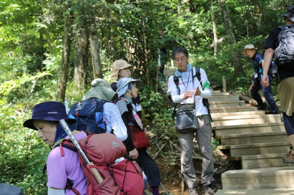 自然観察：写真を使って説明