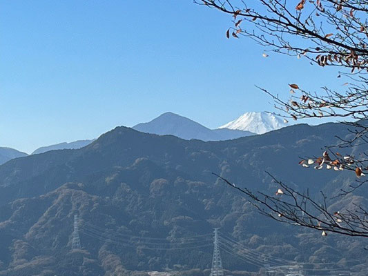 見晴らし台からの富士