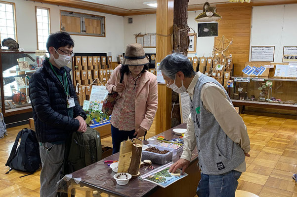 ヒノキの実のアクセサリー作成